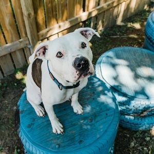 Meet your Posher, Josee